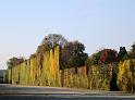 Wien (226)